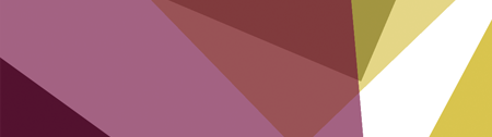 example 8 image